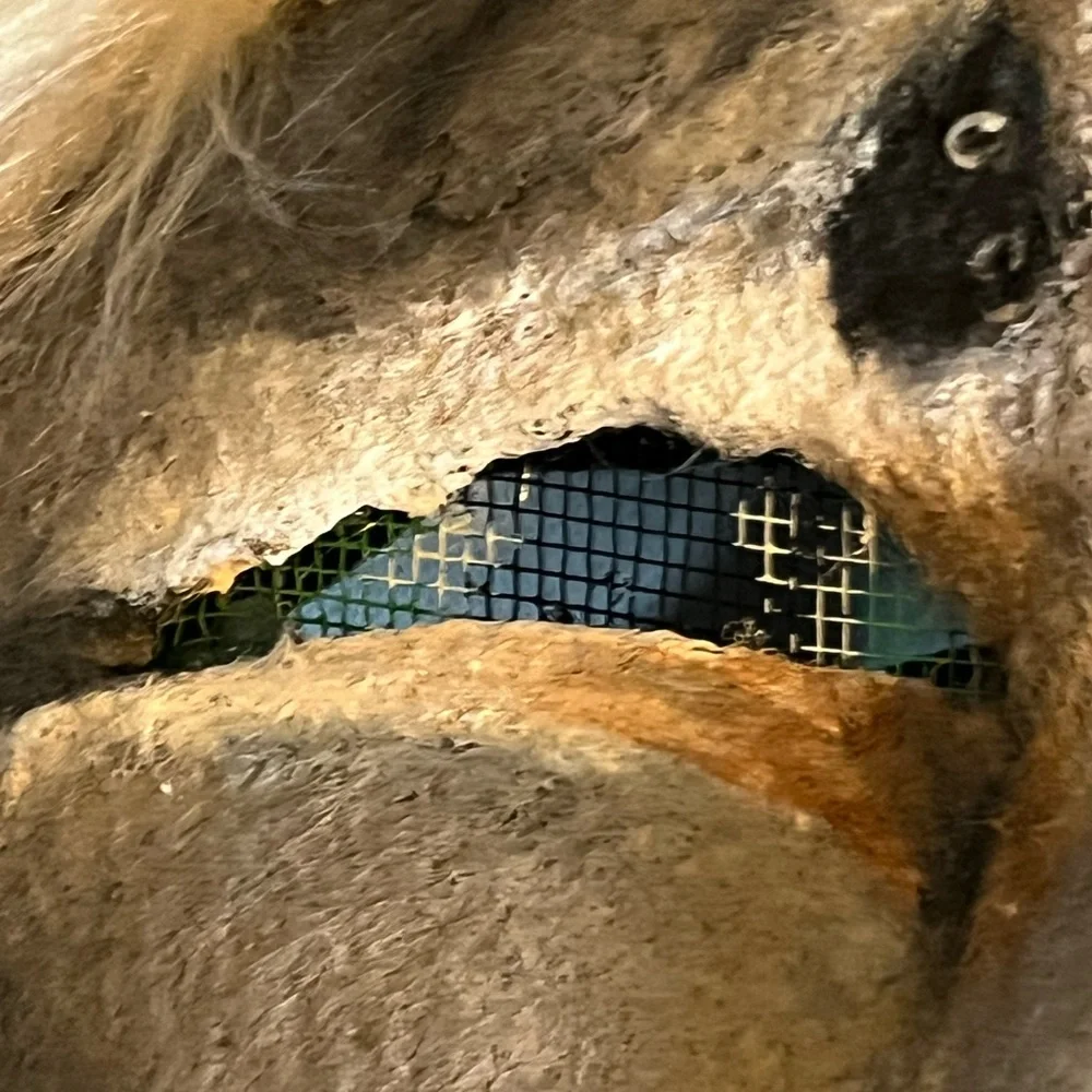 Handmade cat mask